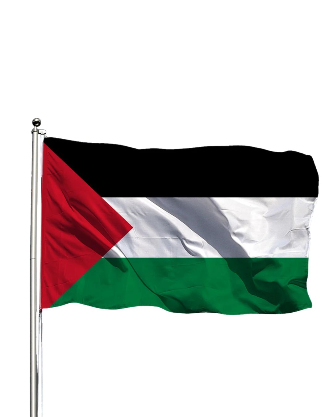 Bandera de Palestina