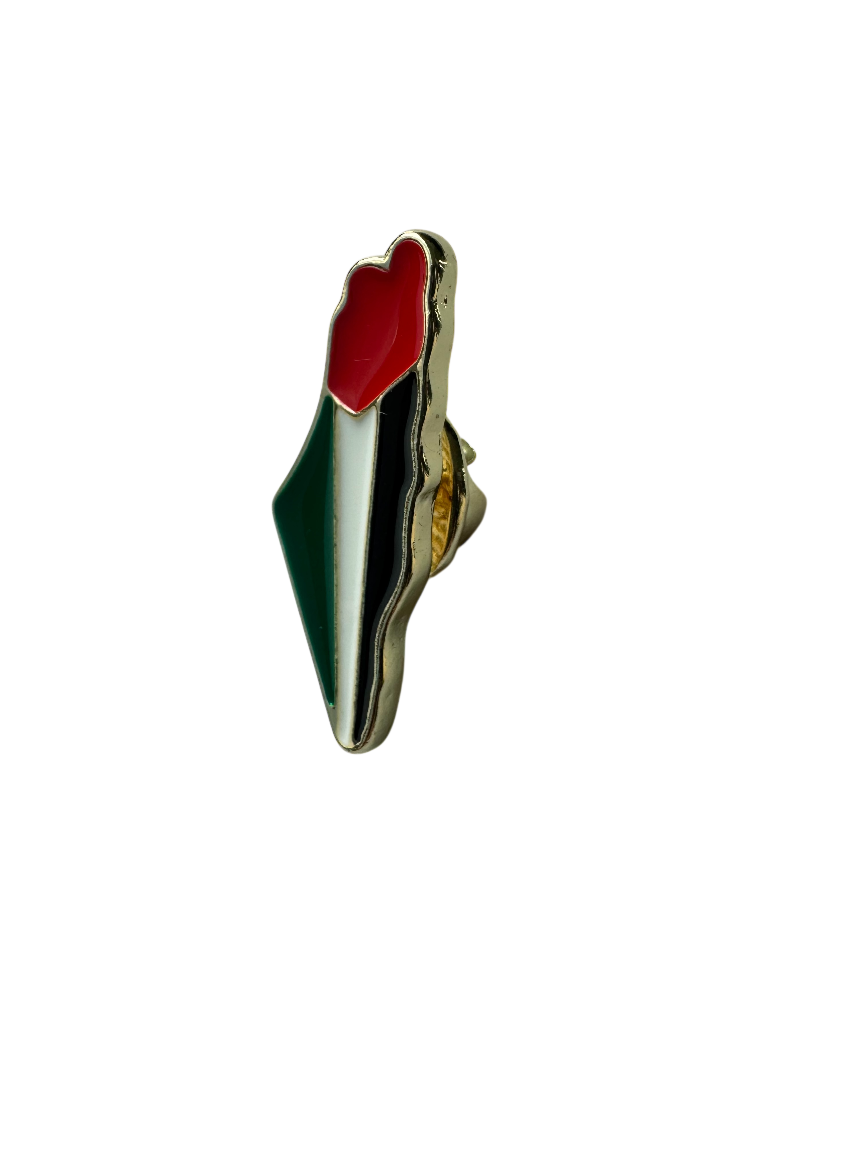 Pin Palestina colores de la bandera (mapa)